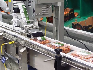 Wipe-On Labeling System For Clamshell Packaging